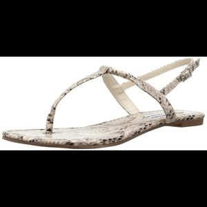 Steve Madden SEERI Size 5.5 snakeskin